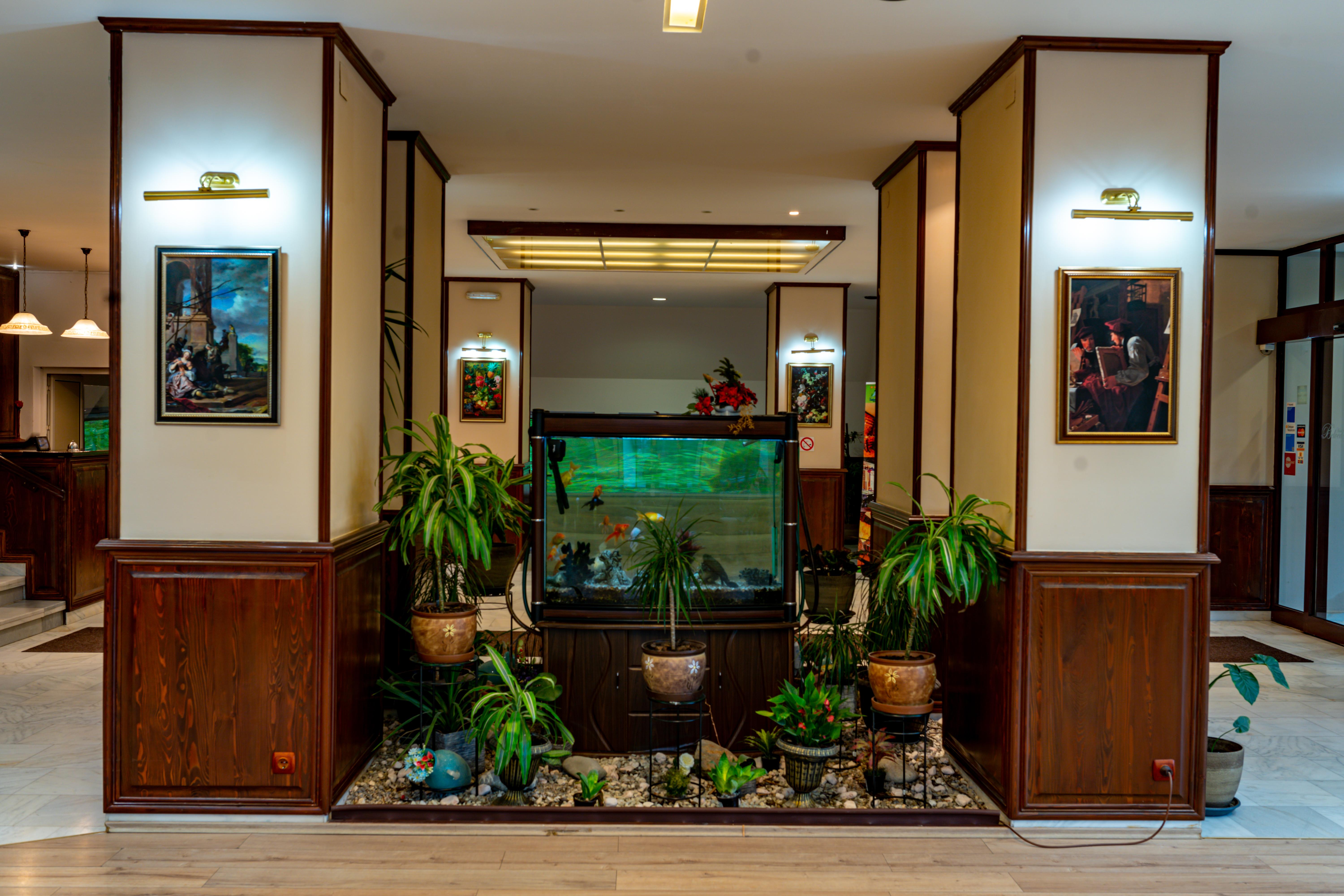 Hotel Belvedere Predeal Exterior foto